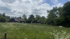 Land for sale in Thorndon photo
