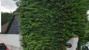 Plot with PP for sale in Potterswood photo
