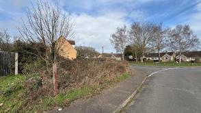 Land for sale in Brandon photo