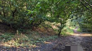 Land - No PP for sale in Woose Hill photo