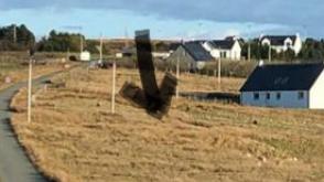 Plot with PP for sale in Marishader photo
