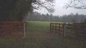 Land - No PP for sale in Jordans photo