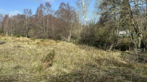 Land for sale in Errogie photo
