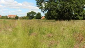 Land for sale in Little Clacton photo