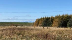 Land for sale in Stewarton photo