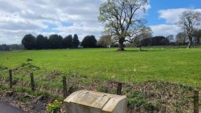 Land for sale in Carnwath photo