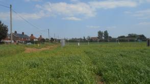 Plot with PP for sale in Pentney photo