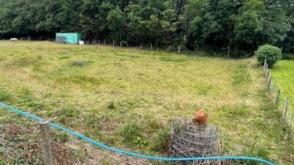 Land for sale in Llanidloes photo