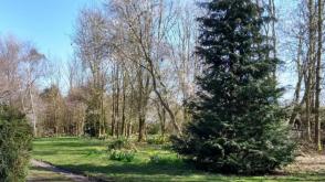 Custom Build for sale in Coldred photo