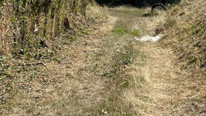 Land for sale in Newport photo