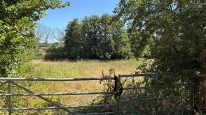 Land for sale in Bordon photo