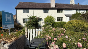 Spacious Cottage For Updating in Axminster photo