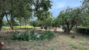 Land for sale in Saxby-All-Saints photo