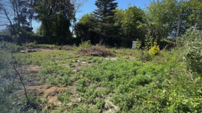 Land for sale in Sandwich photo