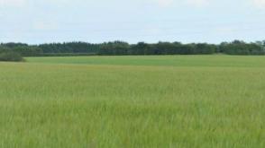 Development site in Blyton photo