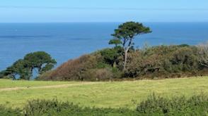 Plot with PP for sale in Lee photo