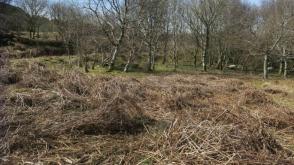 Land for sale in Dunvegan photo