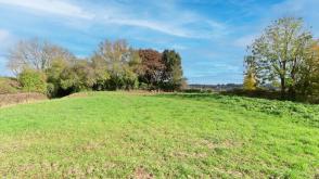 Land for sale in Buckhorn Weston photo