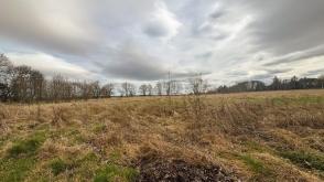Plots for sale in Tain photo