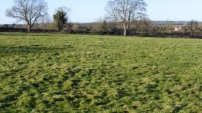 Development Opportunity in Burgh le Marsh photo