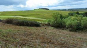 Plot of Land in Tarbrax photo