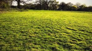 Multiple Plot for sale in Anthill Common photo