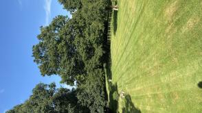 Plot with PP for sale in Whittlebury photo