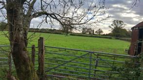 Land for sale in Dorking photo