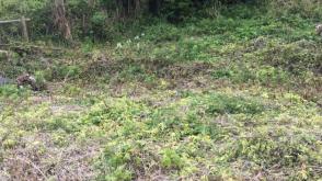 Development Plot for sale in Powys photo