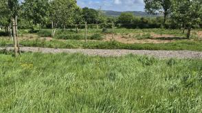 Plot with PP for sale in Taunton photo