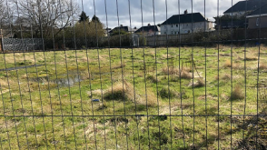 Plot with PP for sale in Riccarton photo