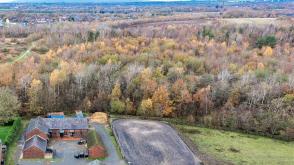 Land for sale in Leigh photo