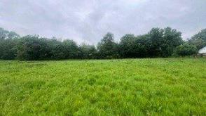 Development in Bury photo