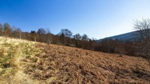 Building Plot in Drumnadrochit photo