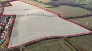 Land for sale in Halstead photo