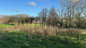 0.22 Acre Building Site in Barnstaple photo