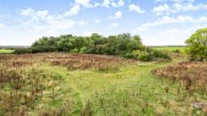 Development in Cherry Willingham photo