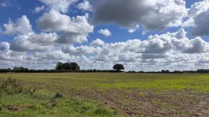 Land for sale in Attleborough photo