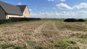 Land for sale in March photo