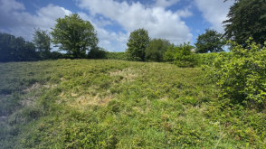 Land With Planning in Bodmin photo