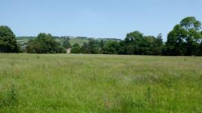 Development in Kington photo