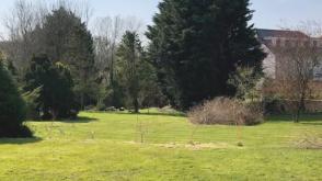 Land for sale in Ticehurst photo