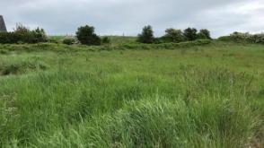 Plot for sale in Millport photo