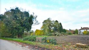 Land for sale in Willoughby photo