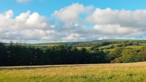 Land for sale in South Molton photo