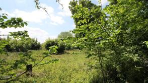 Land for sale in Haynes photo