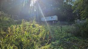Plot with PP for sale in Forge Hammer photo