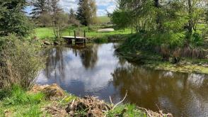 Land - No PP for sale in Newmill photo