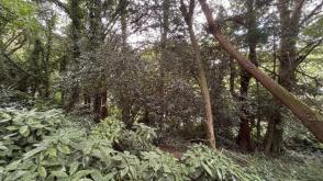 Land for sale in Tredrea Gardens, Perranarworthal photo