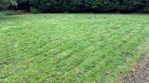 Land for sale in Tyne and Wear photo